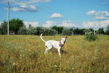 Фото с нашей гостиницы