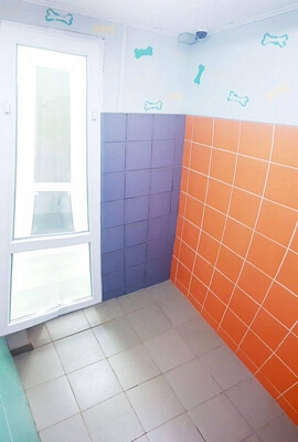 Фото с нашей гостиницы